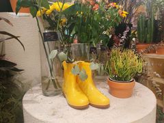 -PlantsEatery·植物食堂(REX春熙店)