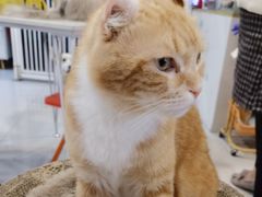 -平行世界·猫咖(首经贸店)