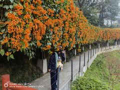-桃花涧