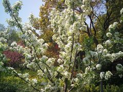 -昆山城市生态森林公园