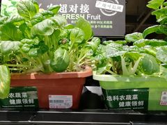 -超市发超市(学院路店)