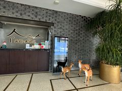 -火福·天湖阁大闸蟹博物馆主题餐厅(浅水湾店)