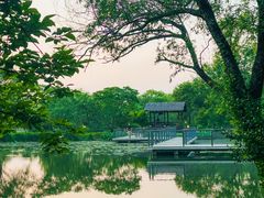 -西溪国家湿地公园