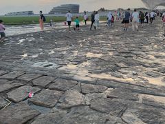 -南汇嘴观海公园