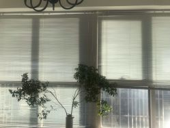 -净漪造型 PURE RIPPLE