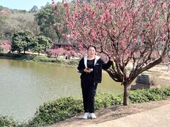 -南国桃园旅游度假区