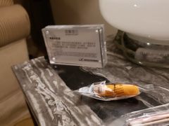-碧桂园空港凤凰酒店(广州新白云机场店)