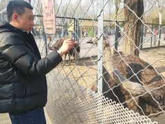 -长白岛森林公园