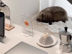 -东易日盛·数字化全案家装(总店)