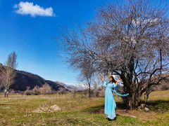 -中华福寿山