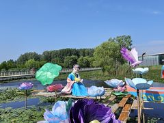 -滕州微山湖红荷湿地景区