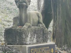 -房湖公园