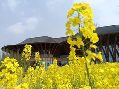 -中国天府农业博览园