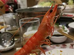 -东国海鲜火锅城(氹仔店)