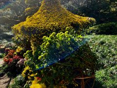 -杭州植物园