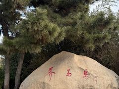 -养马岛旅游度假区