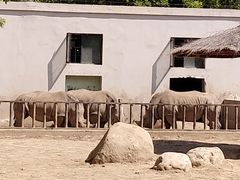 -天津市动物园