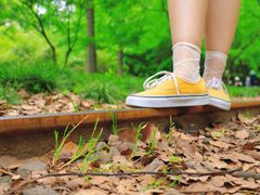 -上海共青森林公园