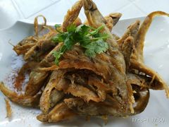 -锋味海鲜菜馆