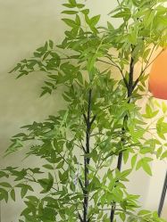 -变美丽半永久纹眉连锁·机器野生眉•洗眉