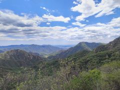 -大岭沟猕猴桃谷风景区
