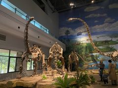 -自贡恐龙博物馆