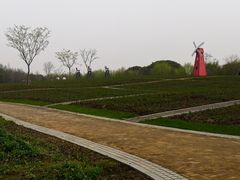 -同里国家湿地公园