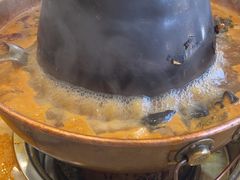 -清真马家美食城•海鲜•青岛菜•火锅(延安三路店)