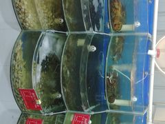 -叶存利海鲜大馅饺子(东戴河止锚湾店)