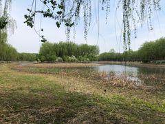 -东郊湿地公园