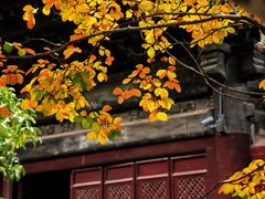 -报恩寺(平武县)