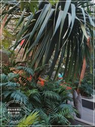 -颐和尚景酒店·宴会厅(园林生态酒店)