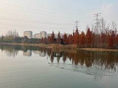 -昆山城市生态森林公园