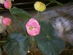 -福满我家大碗厨·湘菜(上海大厦店)