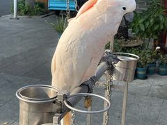 -四海楼(如皋定慧禅寺店)