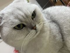 -宠颐生动物医院·小陆分院