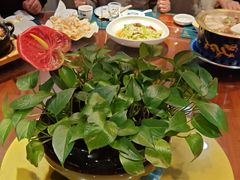 -那家老院子东北菜·饺子·小鸡炖蘑菇(艳华街店)