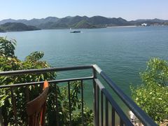 -望湖烤鱼