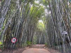 -海南热带野生动植物园
