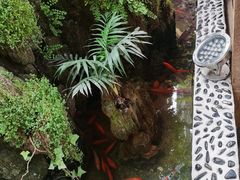 -丽江庭院之爱在路上(西单店)