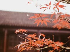 -拙政园