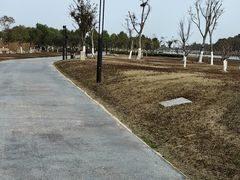 -春花秋色城市公园