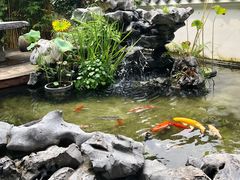 -道南書院·私房菜·早午茶·茶馆