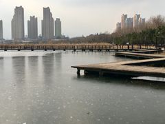 -前关湿地公园
