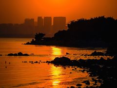 -深圳湾公园(南山区)
