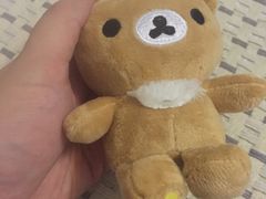 -PAWTOY爪e玩偶店(天兴罗斯福店)