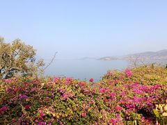 -南诏风情岛