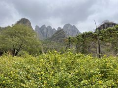 -十渡东湖港风景区