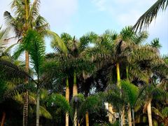 -三亚蜈支洲岛旅游区