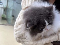 -萌兽医馆·宠物医院·猫骨科(创景店)